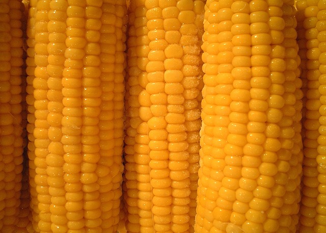  Sweet corn
